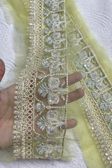 Chikankari Lemon Green Net yard Border