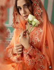 Carrot Orange Color Set