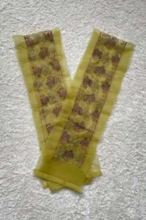 Sapphire Greenish Yellow Border