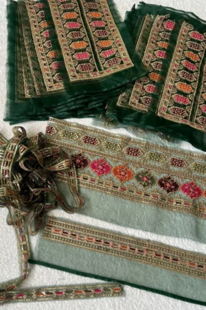 Kareena Kapoor Green Set (Neckline + Daman + Sleeves + Dupatta Patti)