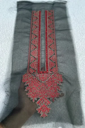 Sapphire Mongia and Red Neckline